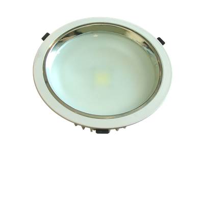 Down-light COB 20 W 4000ºK