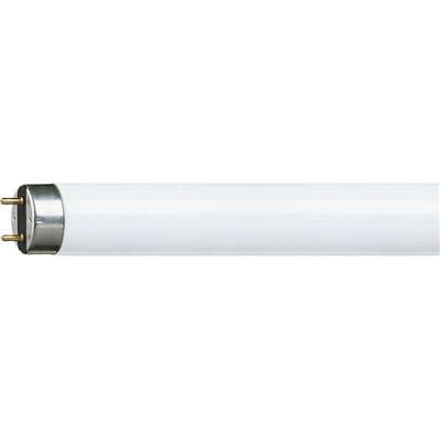 PH304 - TUBO FLURESCENTE T8 G-13 36W 4000K