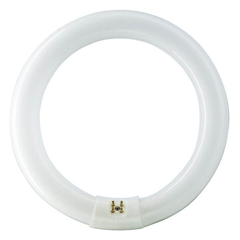 PH307 - TUBO FLUORESCENTE CIRCULAR T8 G10Q 32W 6500K