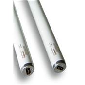 TUBO 40WT12 LD*